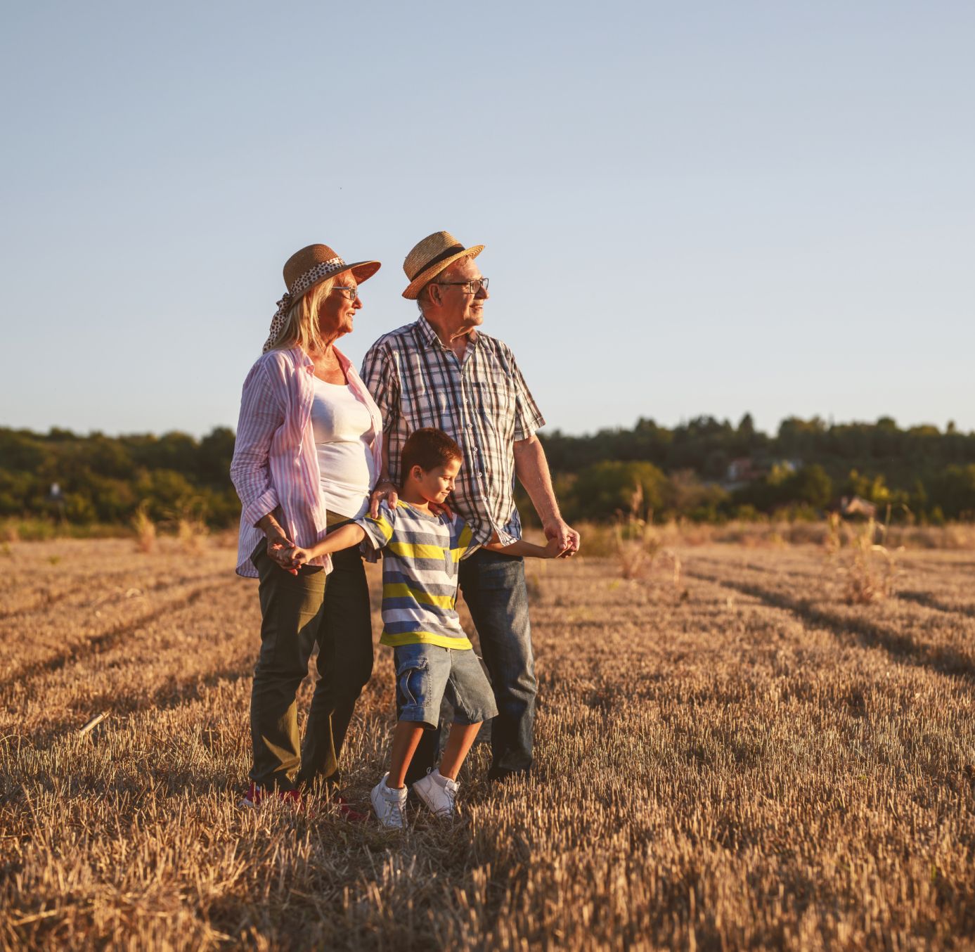 Grandparents walking through a sunlit field with a child.